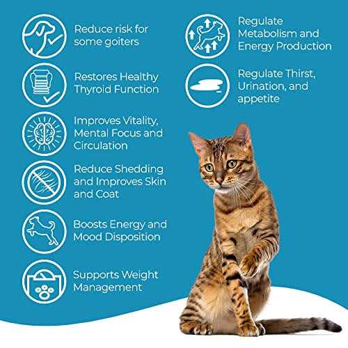 Cat Hyperthyroid + Weight Gain Support Feline Thyroid Supplement S221