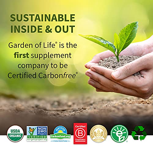 Vanilla Collagen Protein Powder, 14 Servings O9583