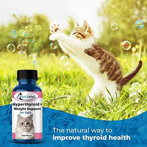 Cat Hyperthyroid + Weight Gain Support Feline Thyroid Supplement S221