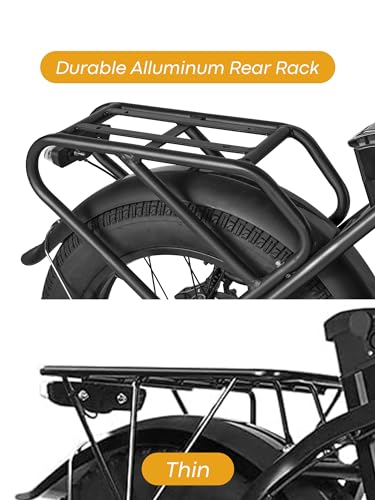 20.8Ah Removable Battery 750W Motor 7 Speed 20 x 4.0 Fat Tire Electric Bike Z6598