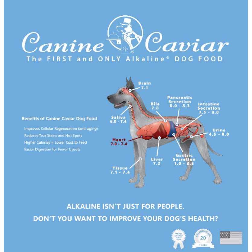 Holistic Dry Dog Food O7635