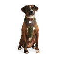 Dog Harness R350