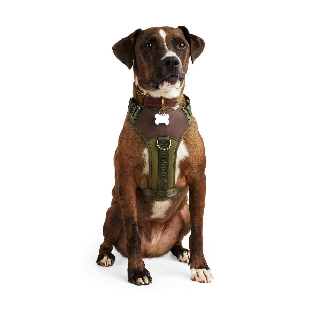 Dog Harness R350
