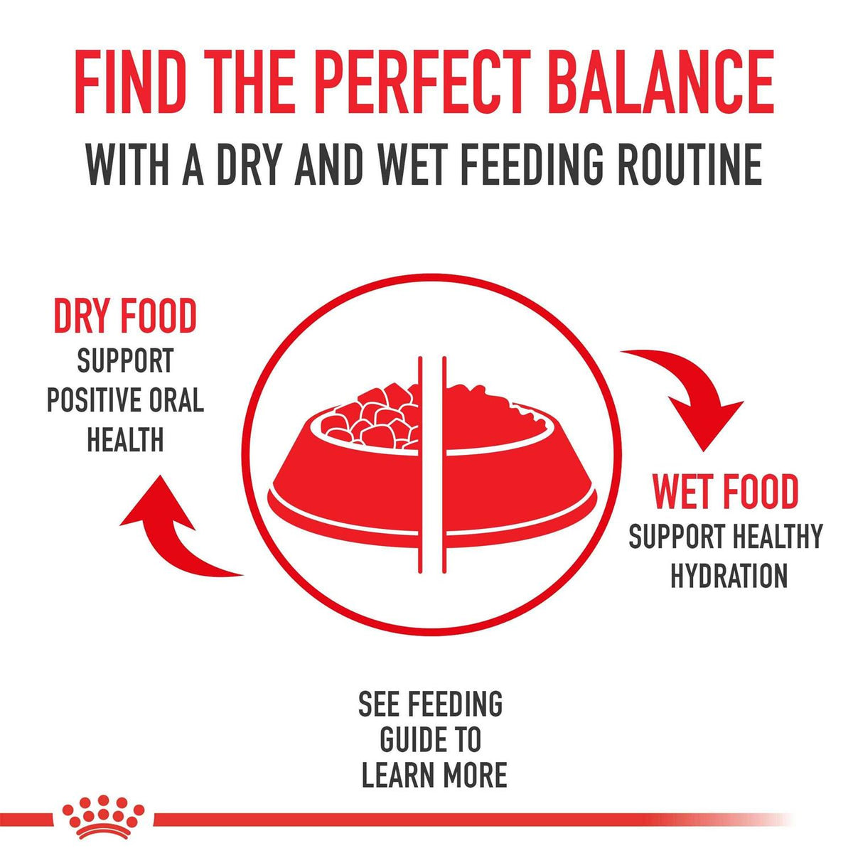 Medium Adult Dry Dog Food J60809