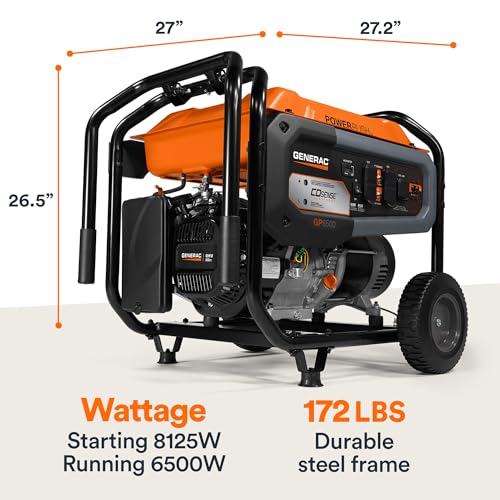8,000-Watt Gas-Powered Portable Generator with Electric Start P907005
