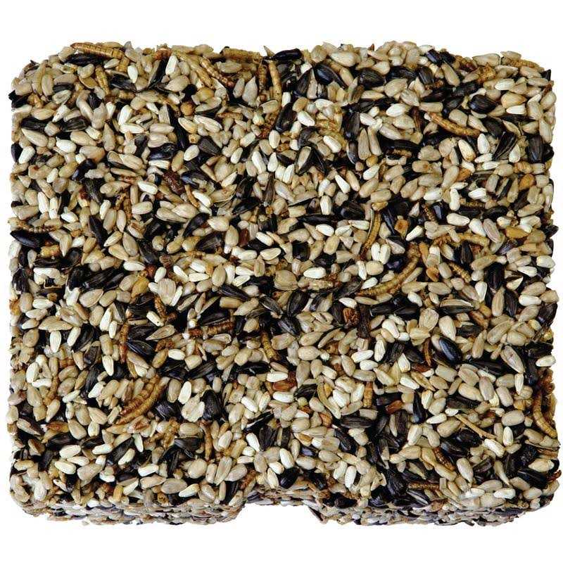 Seed & Mealworm Cake I1779