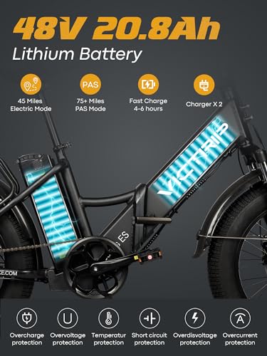 20.8Ah Removable Battery 750W Motor 7 Speed 20 x 4.0 Fat Tire Electric Bike Z6598