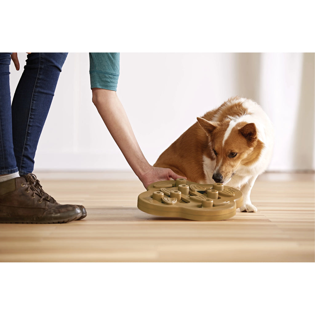 Tan Interactive Treat Puzzle Dog Toy H9535