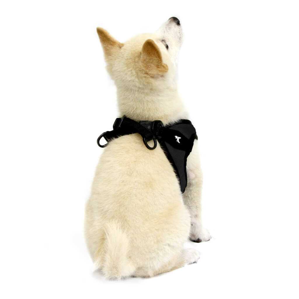 Dog Harness E840753