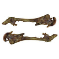 6 x 6 in. Smoked Knuckle Bone Q821503