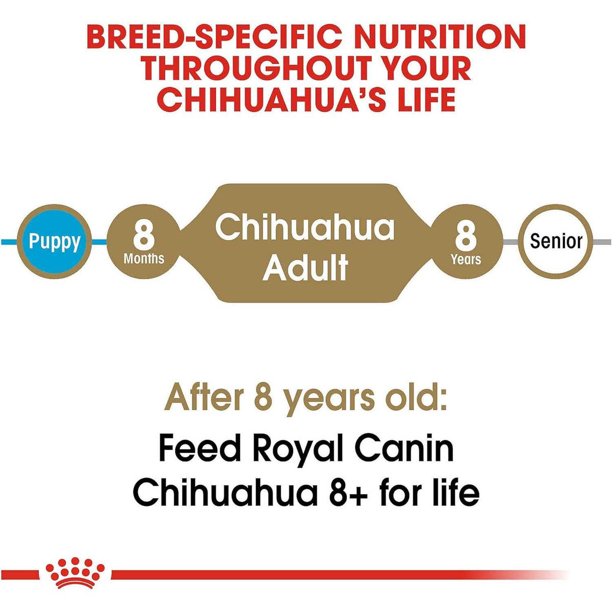 Adult Dry Dog Food F4767
