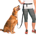 Adjustable Hands Free Dog Leash P57315
