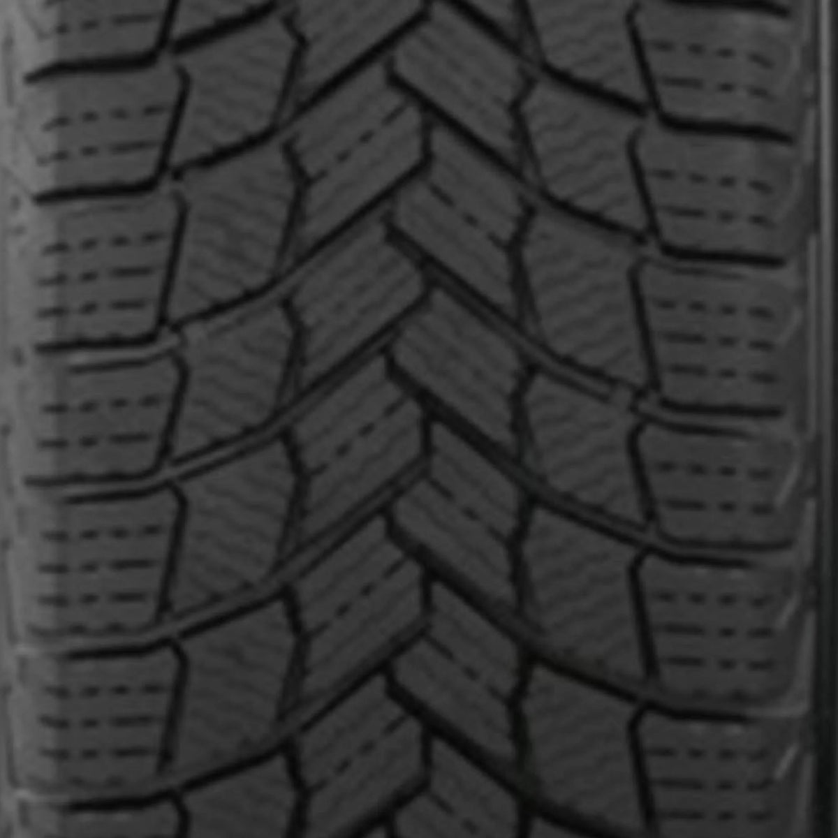 Winter Passenger Tire D261213