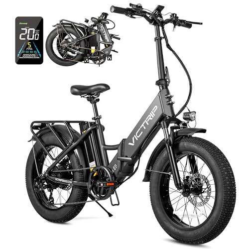 20.8Ah Removable Battery 750W Motor 7 Speed 20 x 4.0 Fat Tire Electric Bike Z6598
