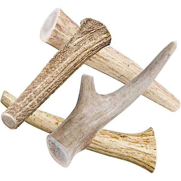 All Natural Whole Deer Antler Dog Chew Treats F89099
