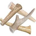 All Natural Whole Deer Antler Dog Chew Treats F89099