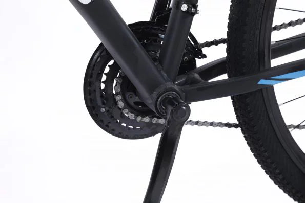 29-Inch Aluminum 24-Speed Road Bike V167