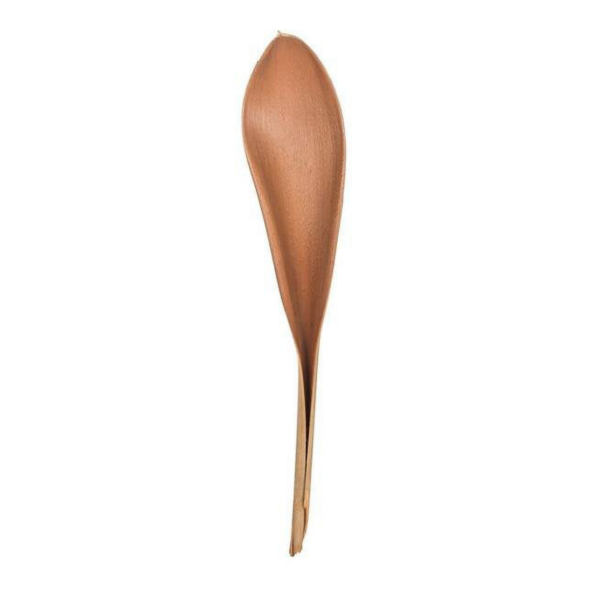 Natural Palm Paddles Tree G896