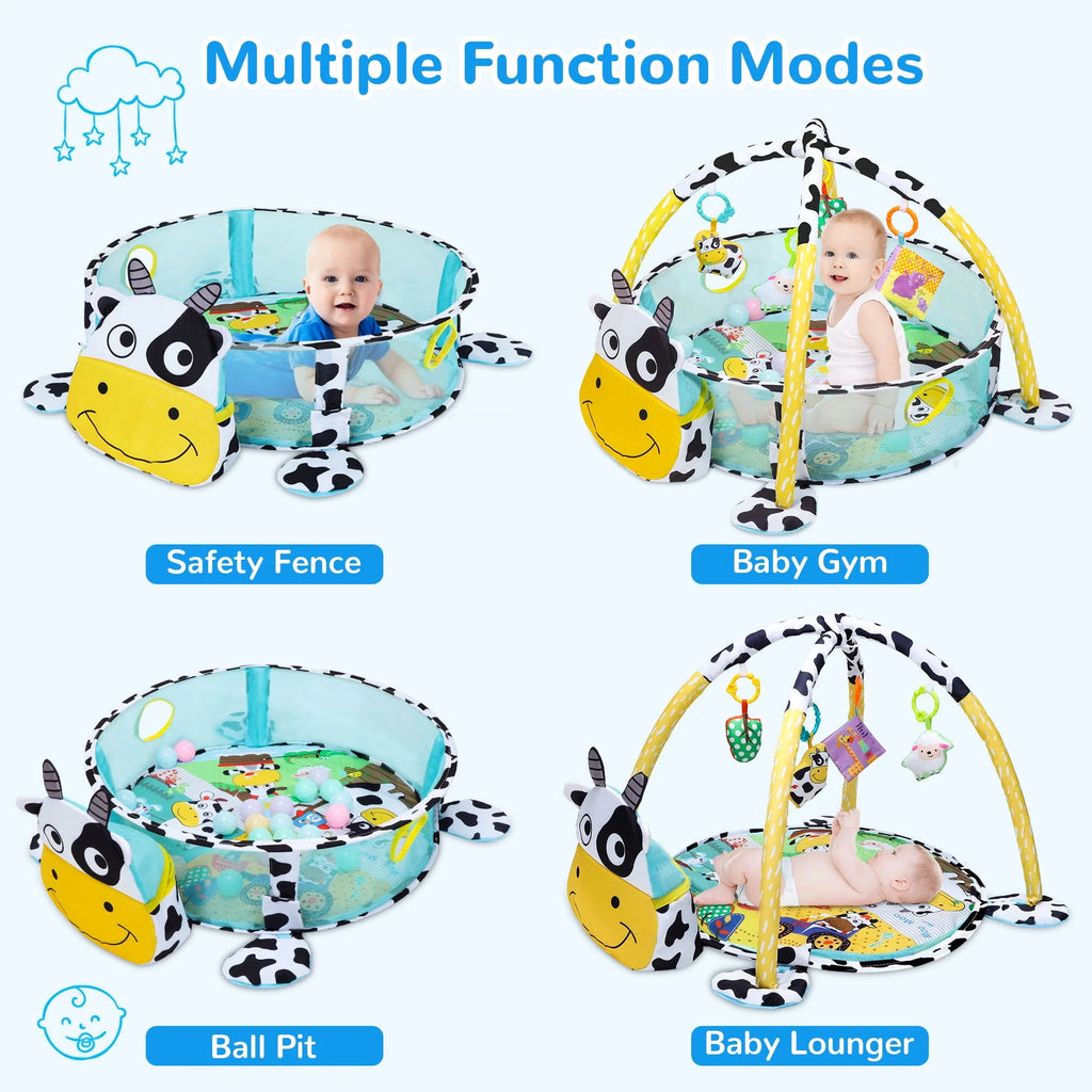Baby Play Mat with 4 Hanging Toys 30 Balls Y430945