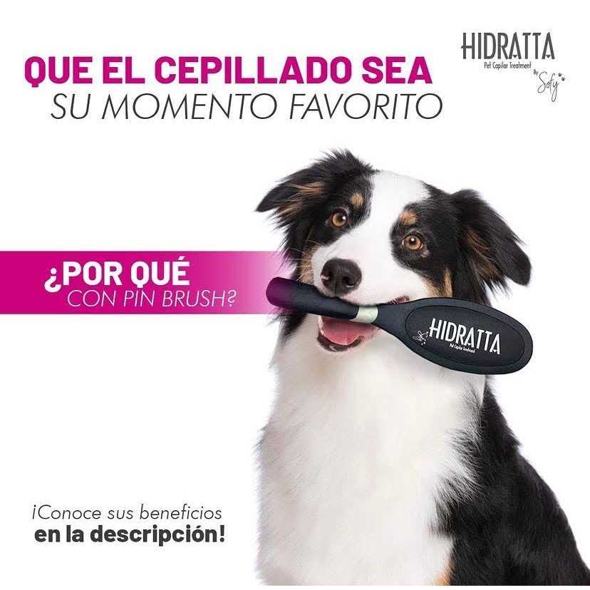 Pet Hairbrush D538579
