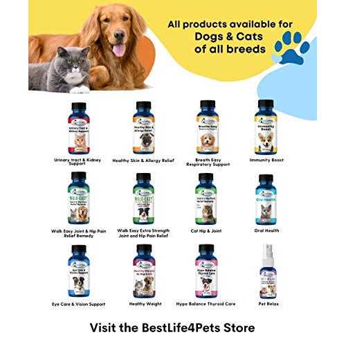 Cat Hyperthyroid + Weight Gain Support Feline Thyroid Supplement S221
