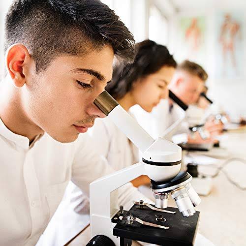 40X-1000X Compound Microscope B952430