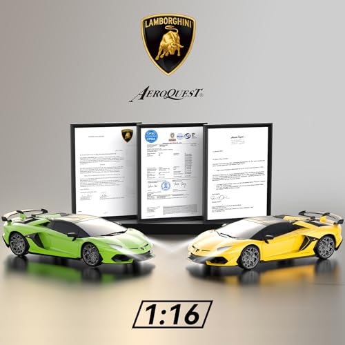 1:16 Scale 2.4GHz Remote Control Car Z452622