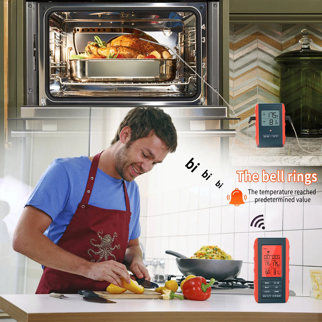 Wireless Digital Meat Thermometer with 2 Probes C981