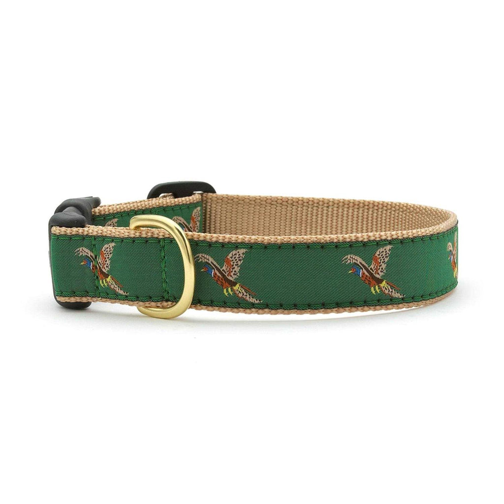 Dog Collar V878536
