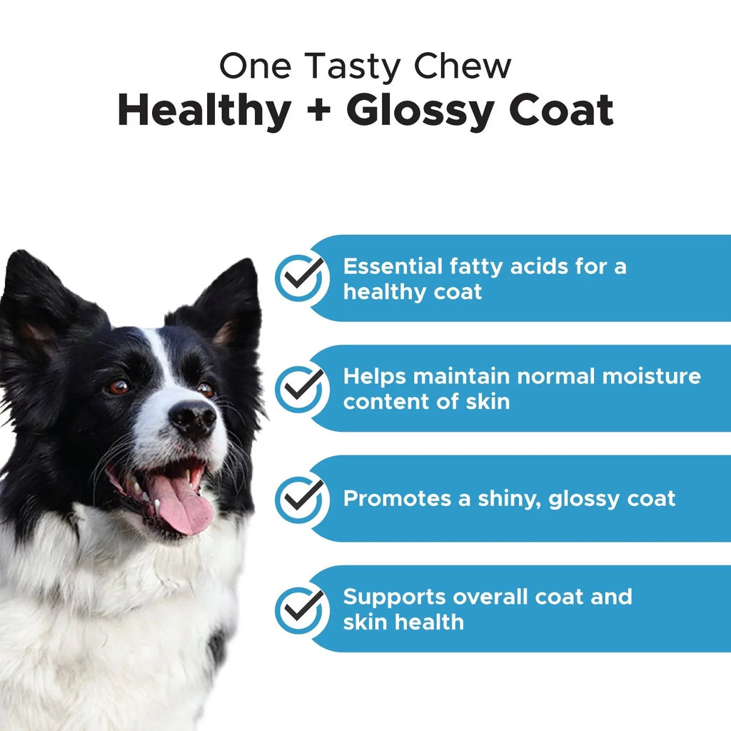 Salmon Fish Oil Soft Chews, 90 Ct L43469
