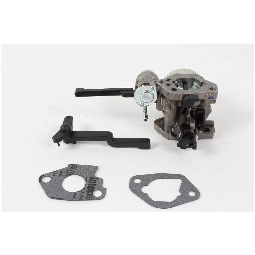 Carburetor Kit Z791