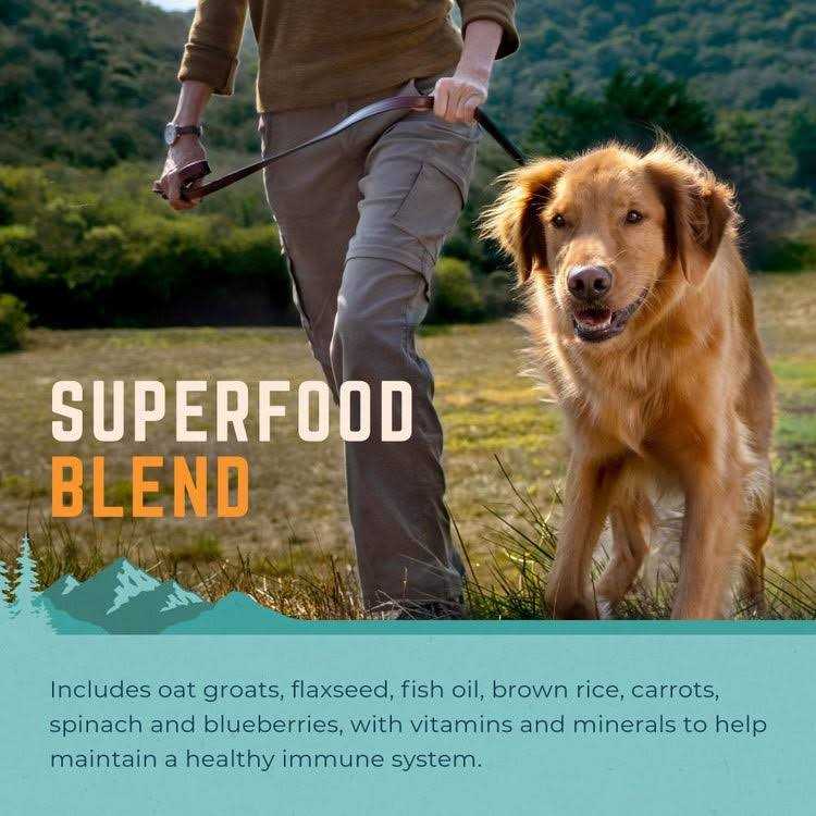 Chicken & Salmon Formula Wet Dog Food S859227
