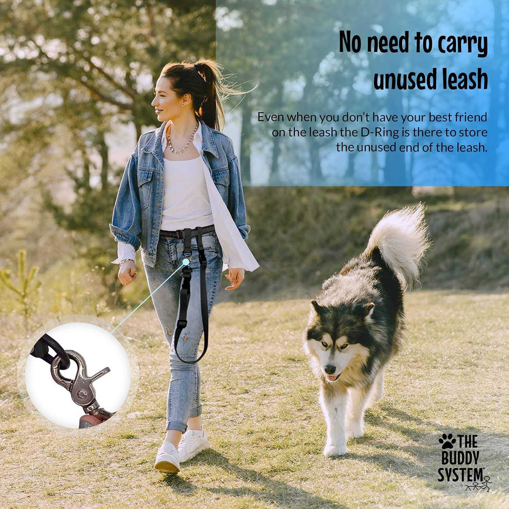 Adjustable Hands Free Dog Leash P57315