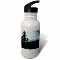 21 oz Sports Water Bottle Y216841