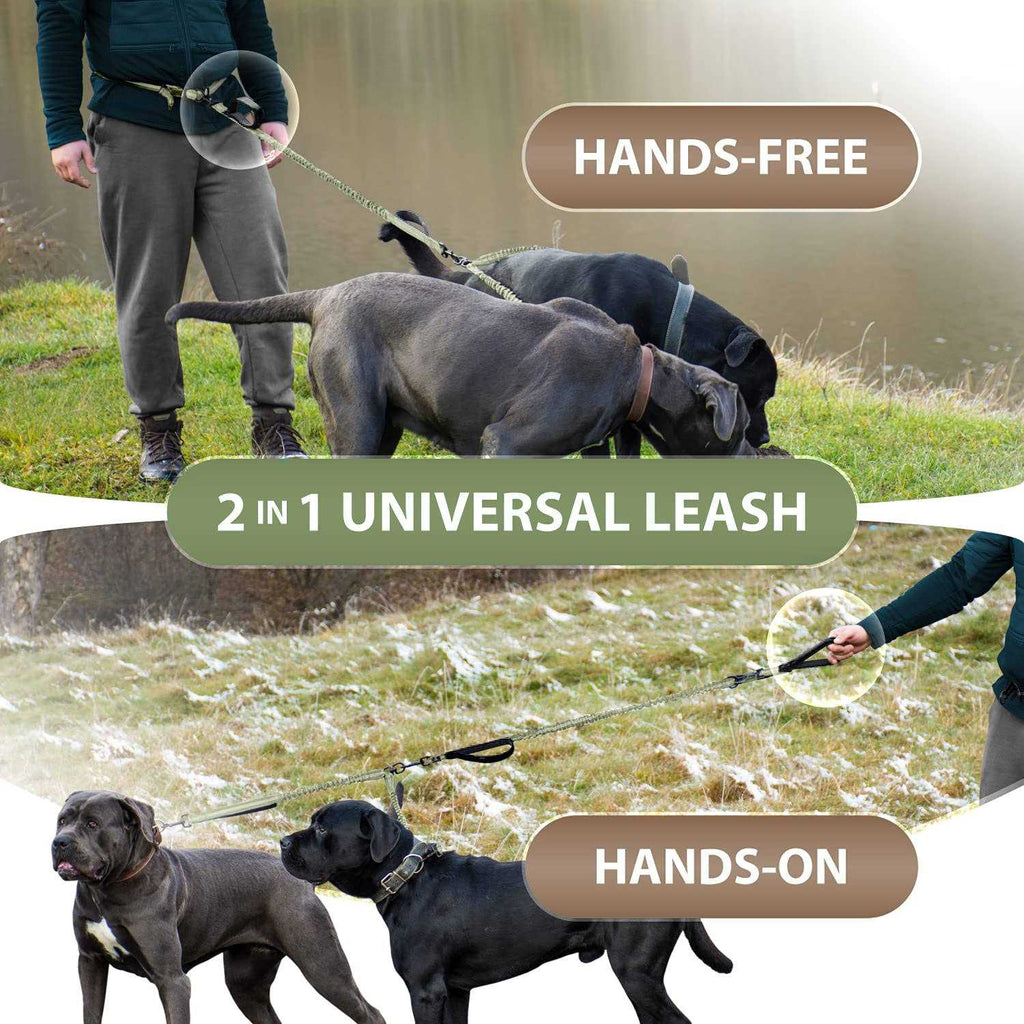 Hands Free Double Dog Leash Q9740