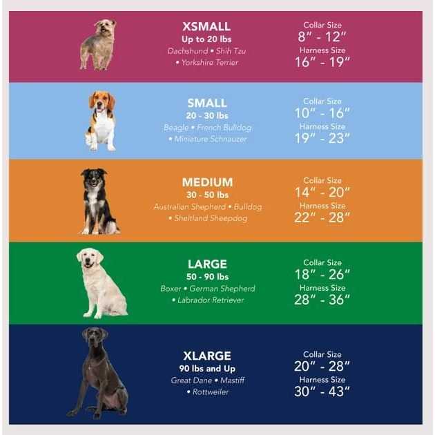 Dog Flea Collar Q57756