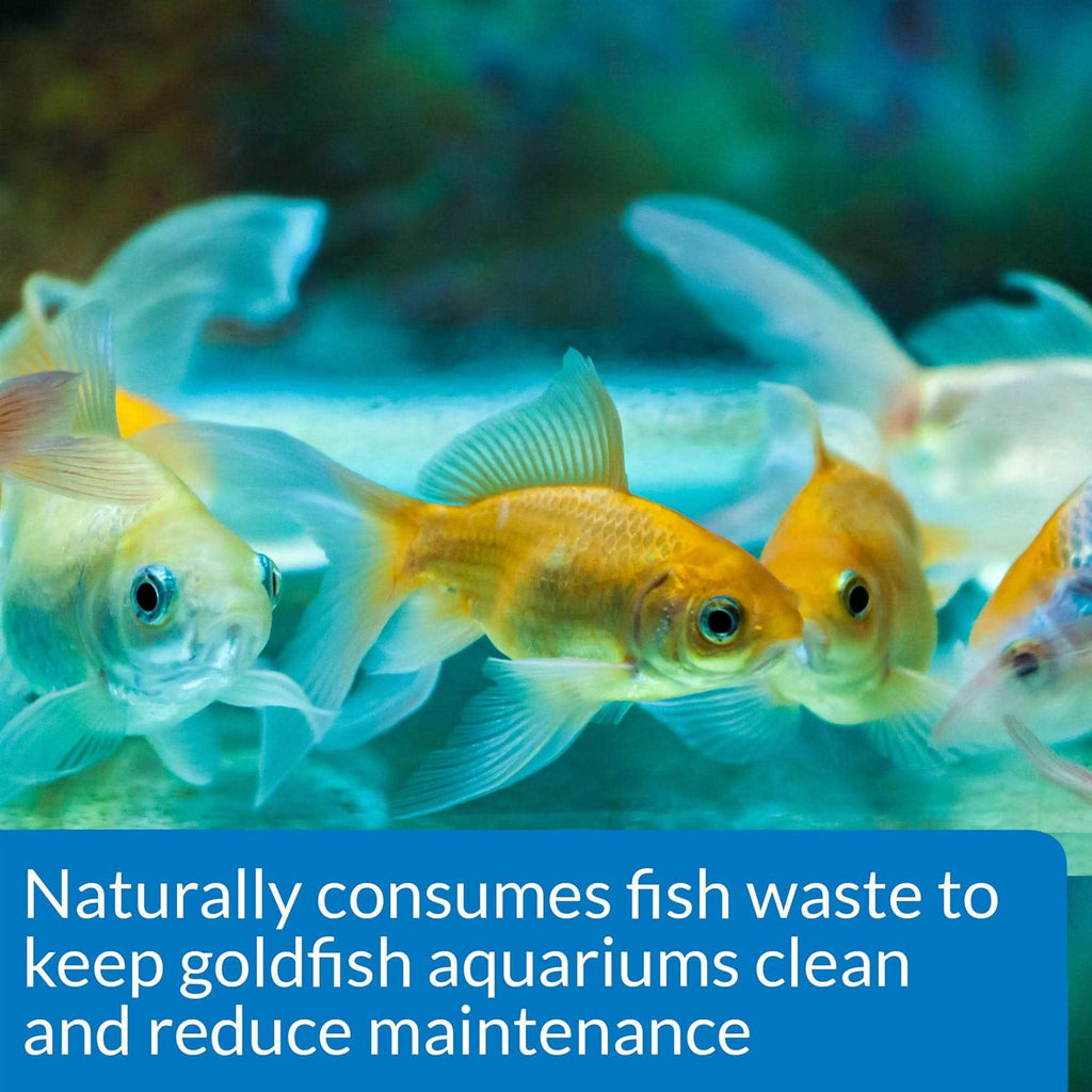Aquarium Water Conditioner H8561