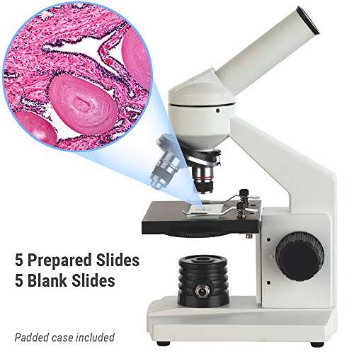 40X-1000X Compound Microscope B952430