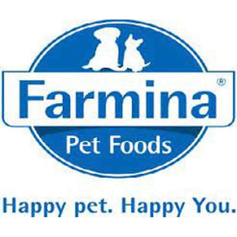 Pumpkin Venison & Apple Dry Cat Food H40460