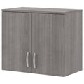 Platinum Gray Wall Cabinet with Doors and Shelves P757