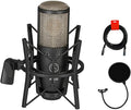 Large Diaphragm Condenser Microphone with Pop Filter and XLR Cable B486