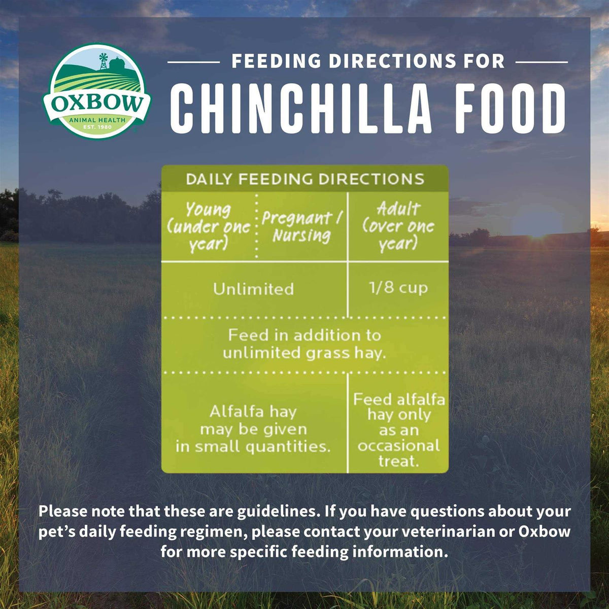 Chinchilla Food T511