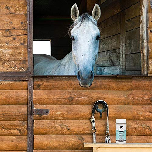 8 oz Equine Dry Shampoo Powder J962673
