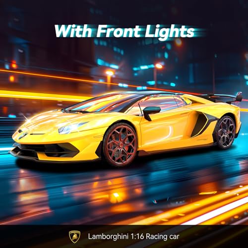 1:16 Scale 2.4GHz Remote Control Car Z452622