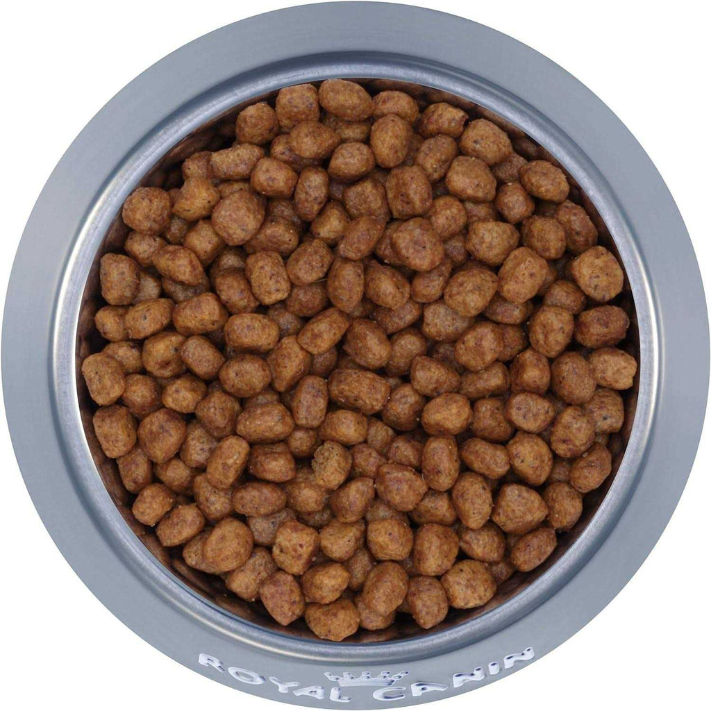 Adult Dry Dog Food F4767