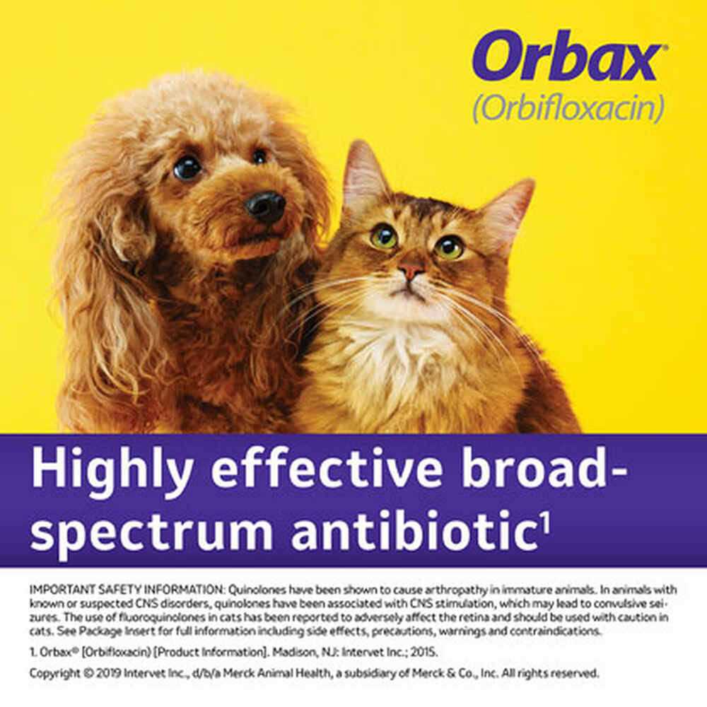 Oral Suspension for Dogs & Cats E284752