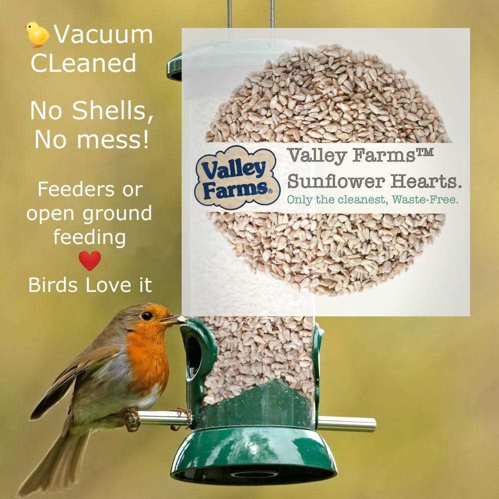 Sunflower Hearts Wild Bird Food O626