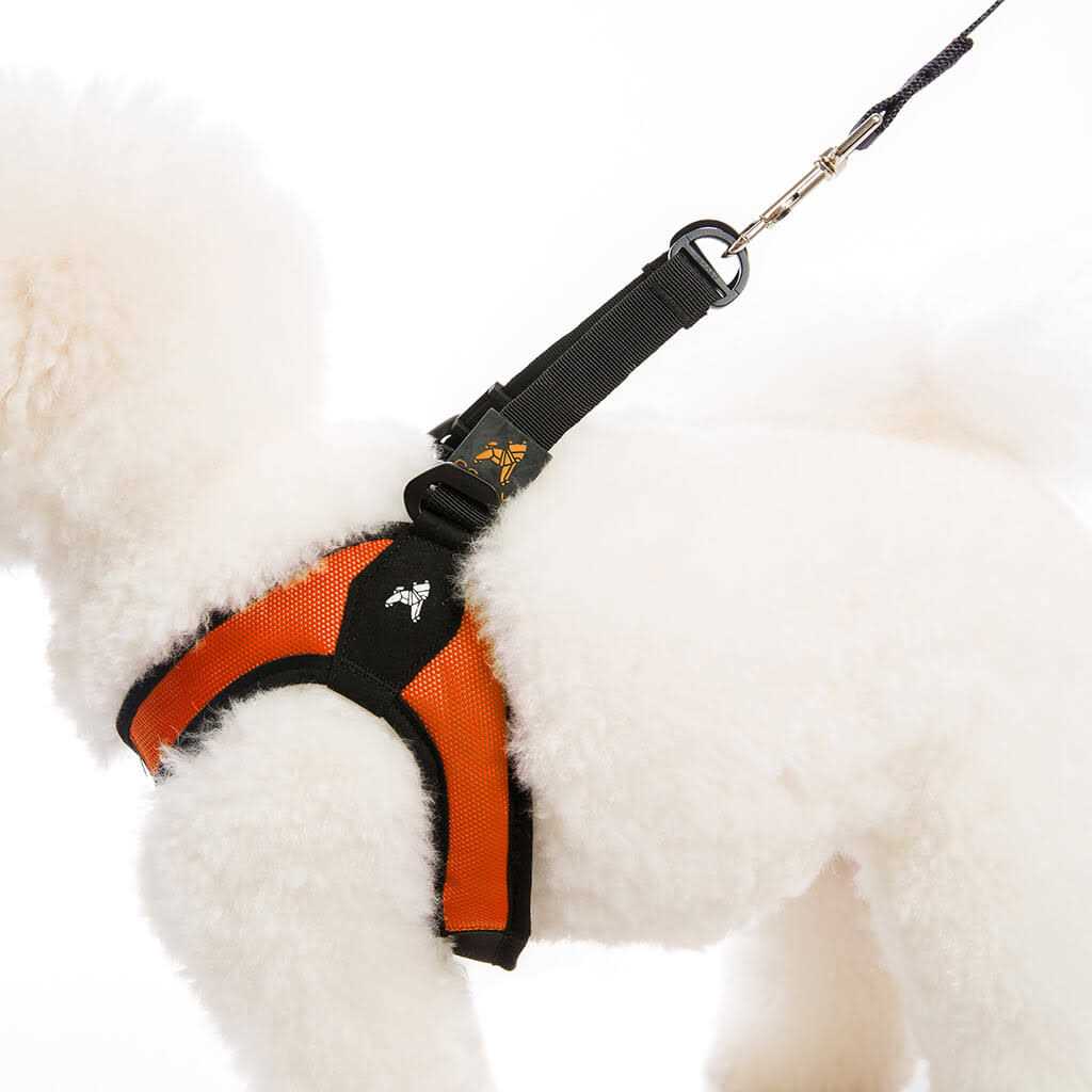 Dog Harness E840753