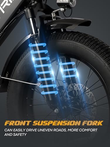 20.8Ah Removable Battery 750W Motor 7 Speed 20 x 4.0 Fat Tire Electric Bike Z6598