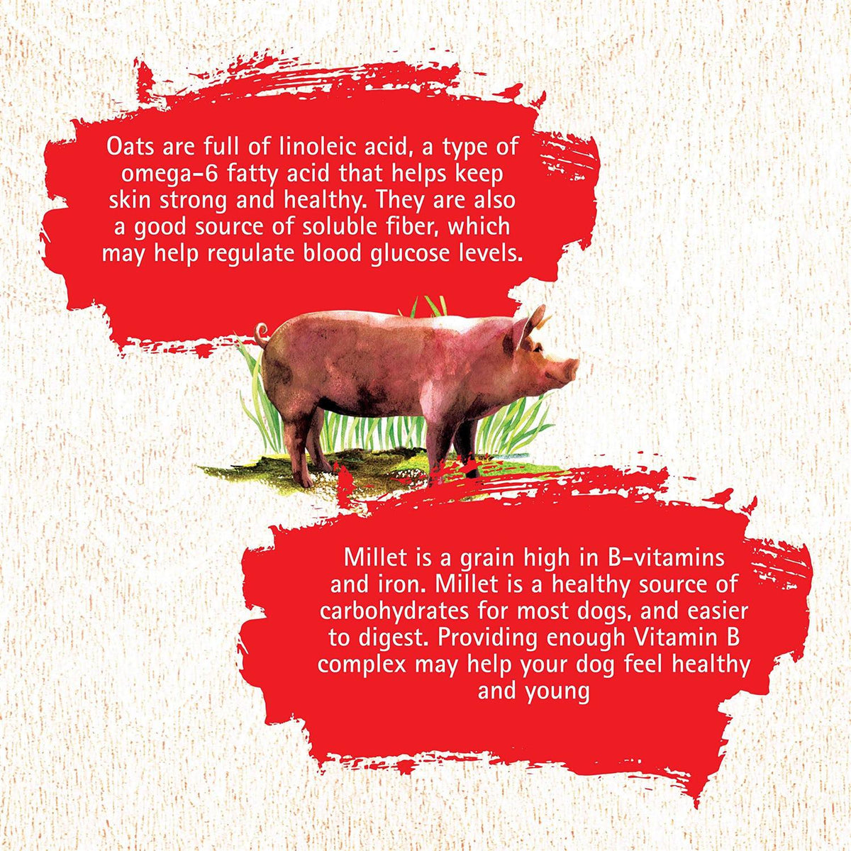 Pork Recipe Dog Food F127